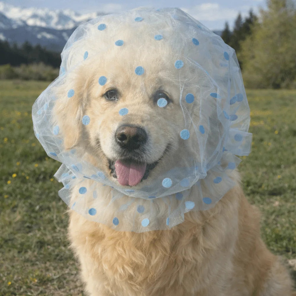 Breathable Mesh Pet Anti-Mosquito Headgear (Adjustable, Love/Wave Pattern)