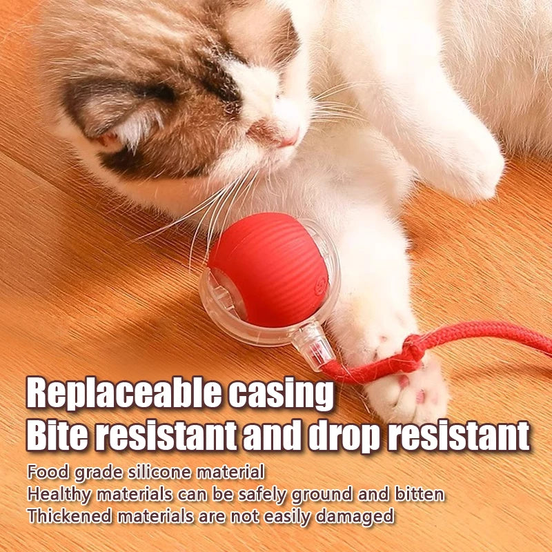 Smart Auto-Rolling Ball Cat Toy with Mouse Tail — Rechargeable Electric Training & Chase Toy
