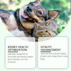 Yegbong Pet Care Supplement for Promoting Kidney Health – Enhances Pets' Vitality with Gentle Ingredients