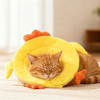 Soft Sponge Cat Recovery Collar — Cute Elizabethan Neck Cone to Stop Licking After Surgery