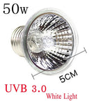 220V 25/50/75W UVA+UVB Reptile Lamp Bulb Turtle Basking UV Light Bulbs Heating Lamp Amphibians Lizards Temperature Controller