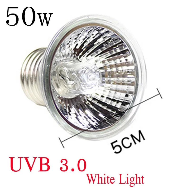 220V 25/50/75W UVA+UVB Reptile Lamp Bulb Turtle Basking UV Light Bulbs Heating Lamp Amphibians Lizards Temperature Controller