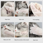 6pcs Pet Disposable Gloves Cat Dog Wipes No Rinse Washing Gloves Grooming Pet Cat Dog Ear Eye Cleaning Deodorizing Gloves Wipes