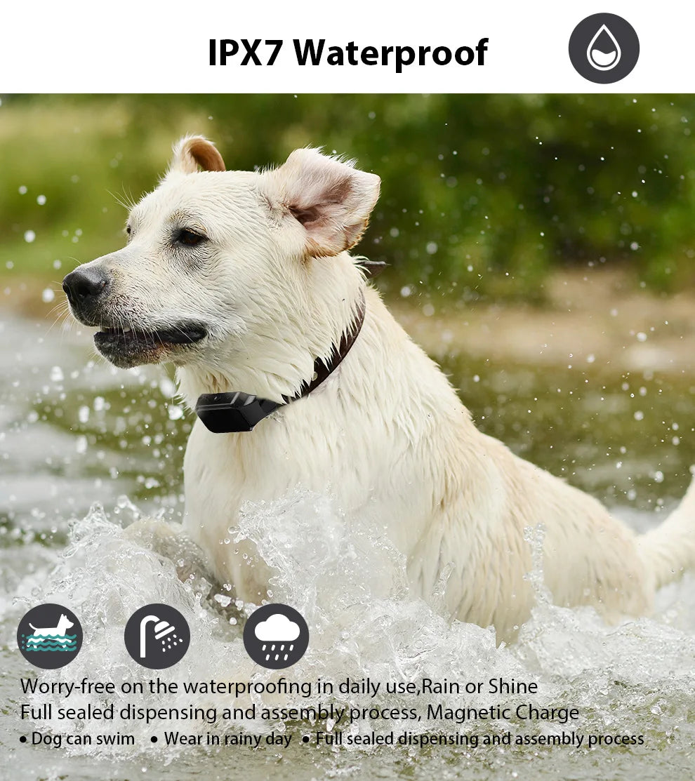 Long-Range Rechargeable Dog Training Collar (500m)