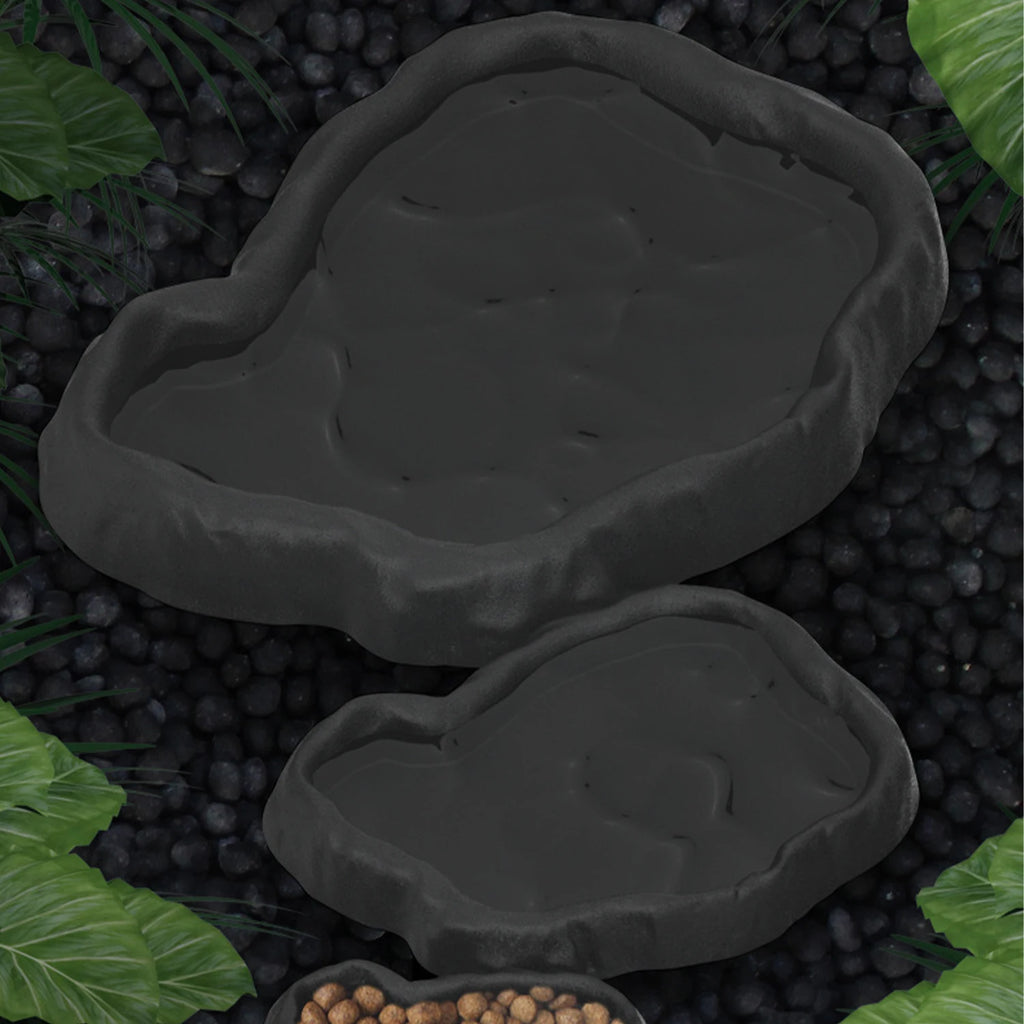 Crawler Pet Feeder Basin Reptiles Amphibians Drinking Feeder Turtle Tortoise Scorpion Lizard Crab Bowl Small Pet Supplies