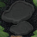Crawler Pet Feeder Basin Reptiles Amphibians Drinking Feeder Turtle Tortoise Scorpion Lizard Crab Bowl Small Pet Supplies