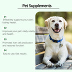 Yegbong Pet Care Supplement for Promoting Kidney Health – Enhances Pets' Vitality with Gentle Ingredients