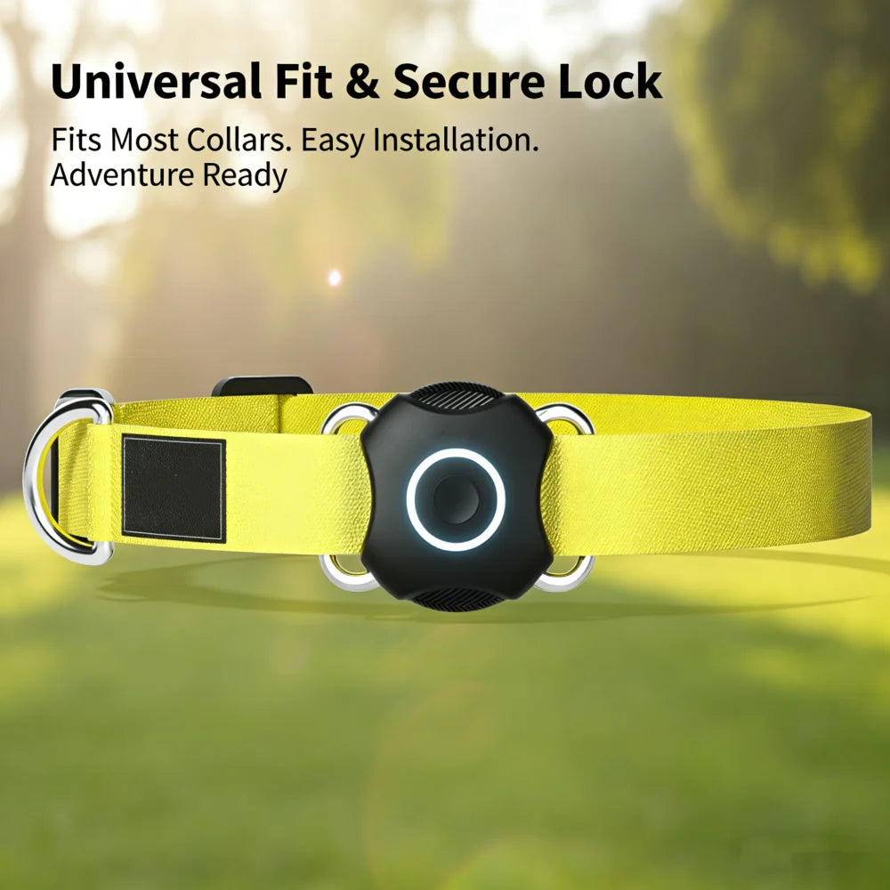 IPX7 Waterproof AirTag Collar Holder for Dogs & Cats - Stainless Steel & Plastic Anti-Loss Tracker Case
