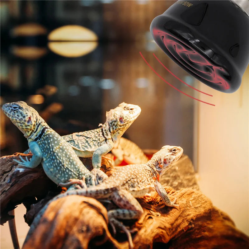 E27 Pet Heating Lamp Black In-Frared Ceramic Emitter Heat Light Bulb Pet Brooder Reptile Mini Infrared Lamp 25/50/75/100W