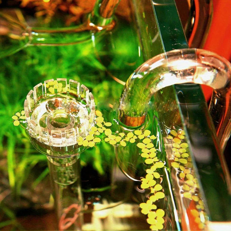 Glass Lily Pipe Inflow with Surface Skimmer (13mm/17mm, Aquarium Planted Tank Filter)