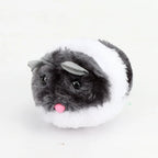 2-Pack Vibrating Spring Mouse Cat Toy — Automatic Multi-Color Interactive Plush Chubby Cat Toy