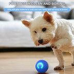 Smart USB Electric Bouncing Ball Pet Toy — Auto-Moving Interactive Toy for Cats & Dogs