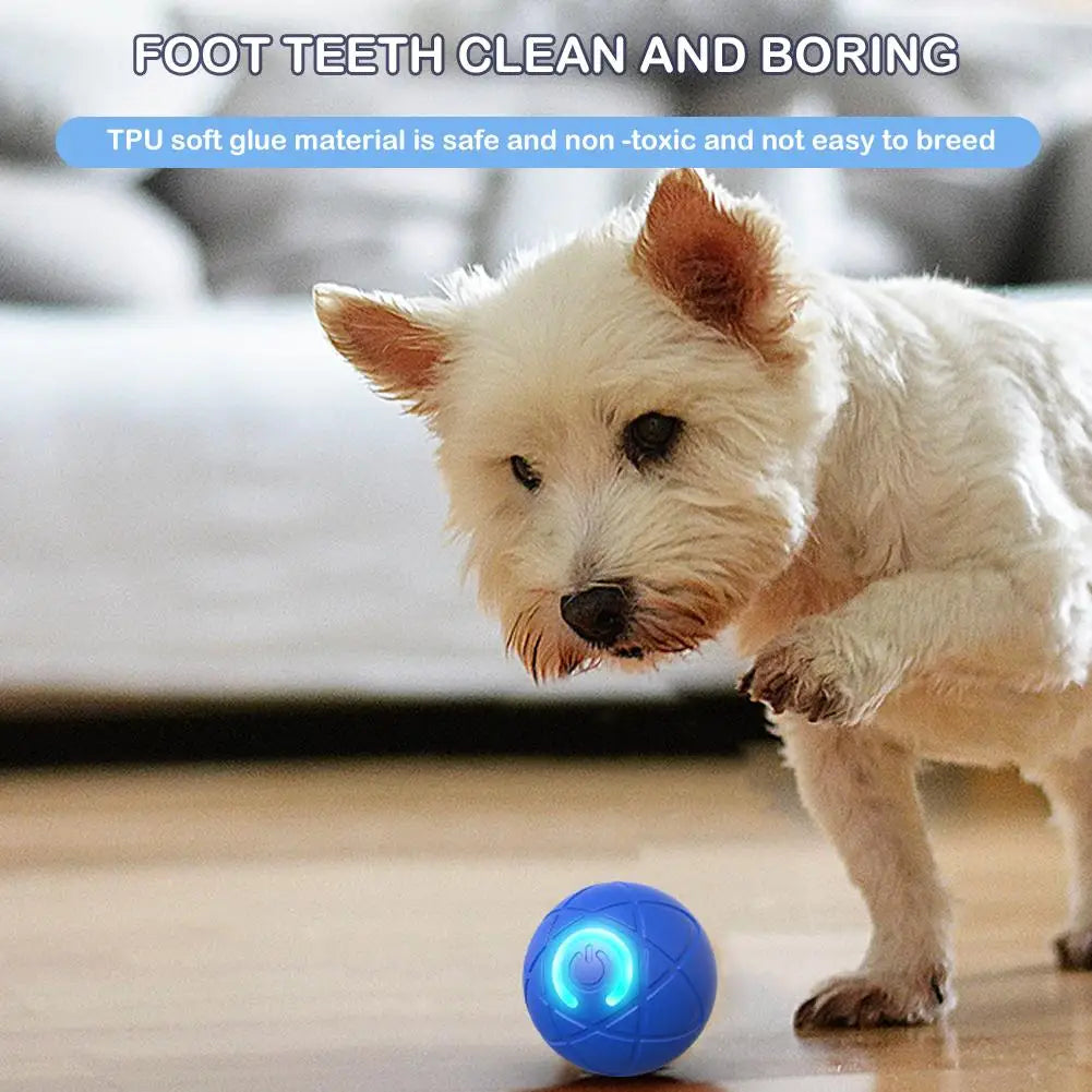 Smart USB Electric Bouncing Ball Pet Toy — Auto-Moving Interactive Toy for Cats & Dogs