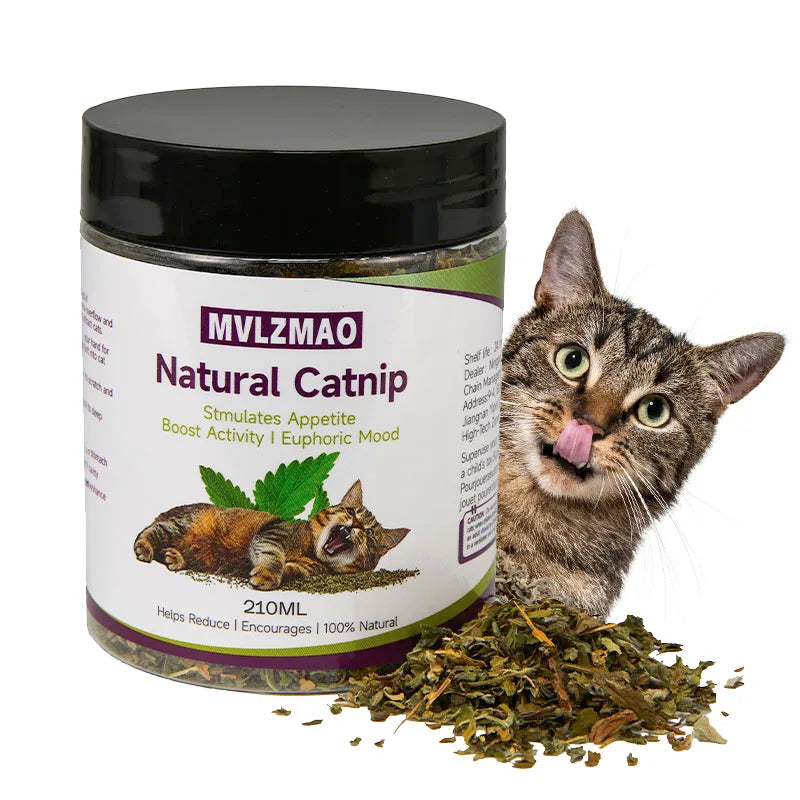 100% Natural Silvervine Catnip Loose Leaf Herbal Tea — 210ml Safe for All Cat Ages