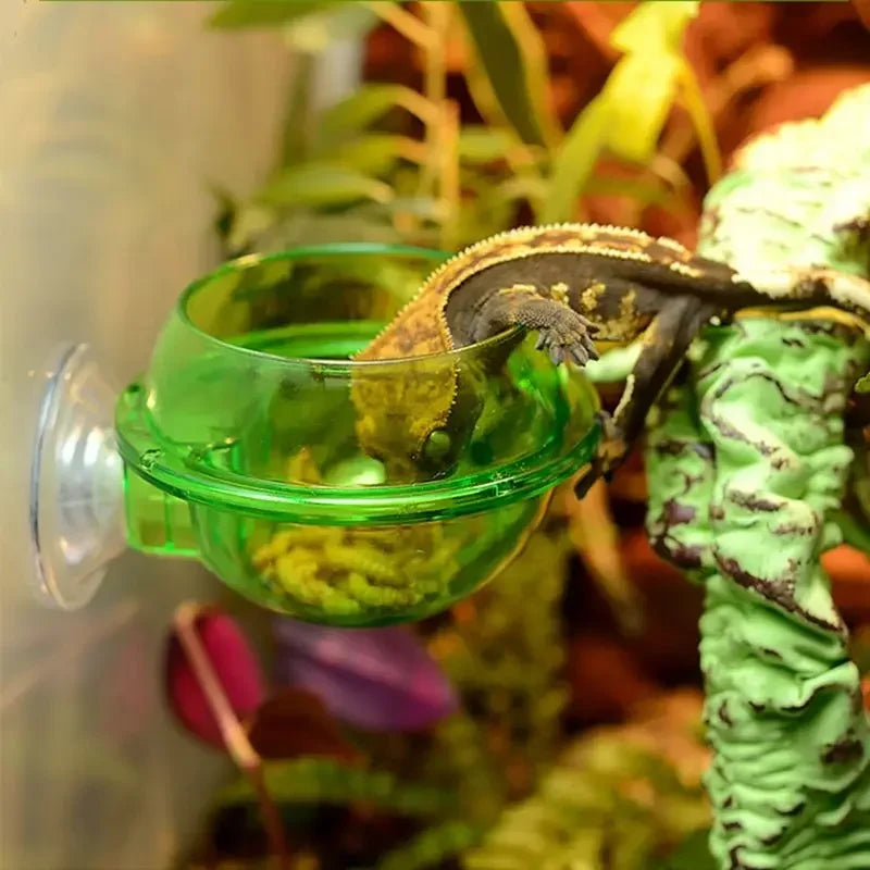 Reptile Feeding Bowl Clear Anti-escape Pet Bowl Insect Worm Food Container Lizard Gecko Chameleon Reptile Small Pet Water Bowl