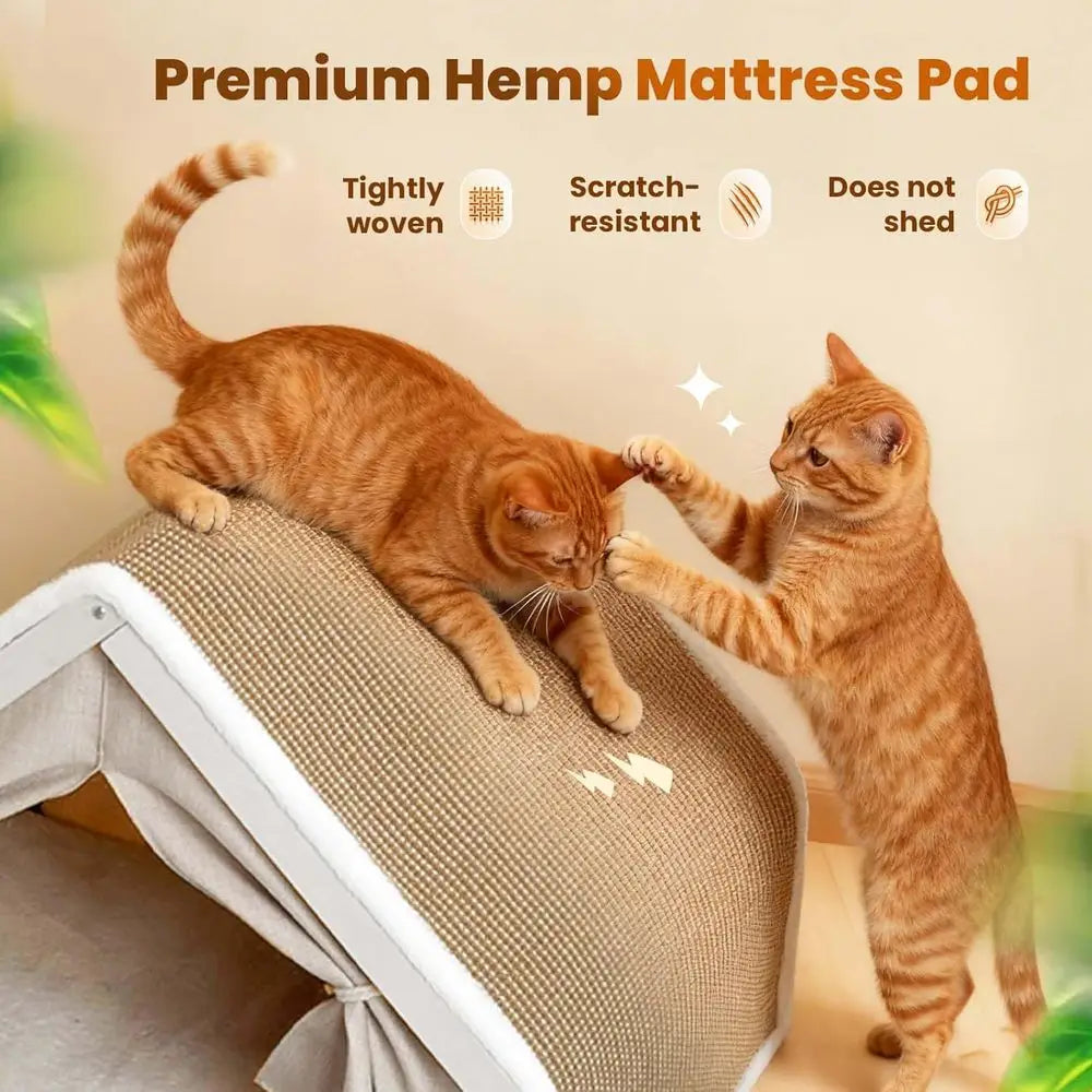 Wooden Cat Cave Bed with Sisal Scratcher & Curtains (All-Season)
