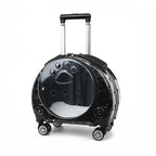 Pet Luggage, Transparent Space Capsule, Multi-purpose Backpack, Cat Bag, Large Capacity, Two Portable Small Dogs, Outdoor Bag