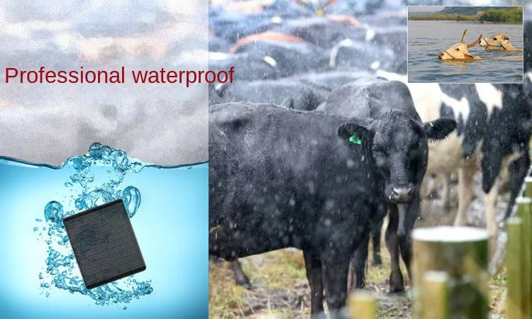 Solar-Powered 4G GPS Tracker for Cattle & Livestock