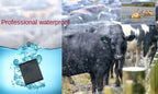 Solar-Powered 4G GPS Tracker for Cattle & Livestock