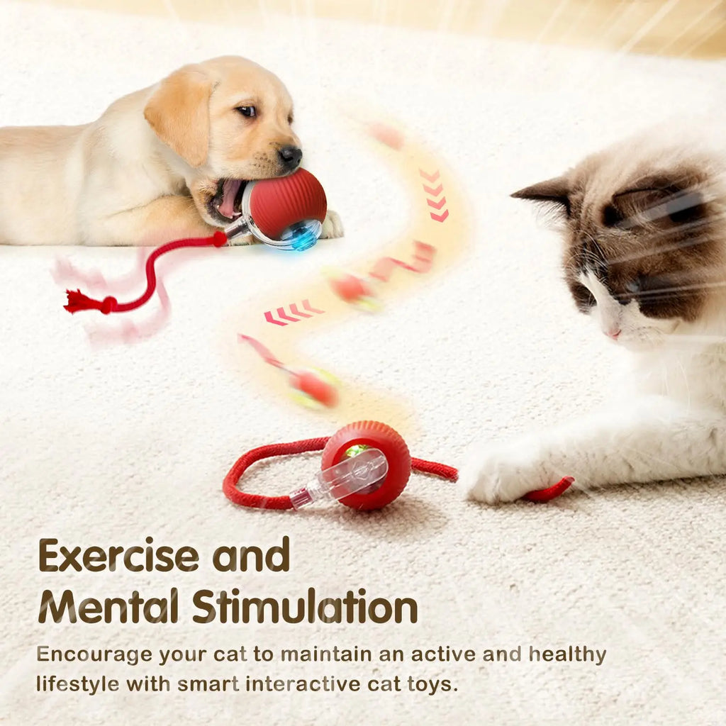 Auto Rolling Ball Cat Toy with Tail — Rechargeable Smart Electric Mouse Teaser for Cats
