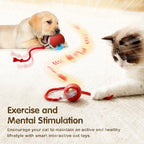 Auto Rolling Ball Cat Toy with Tail — Rechargeable Smart Electric Mouse Teaser for Cats