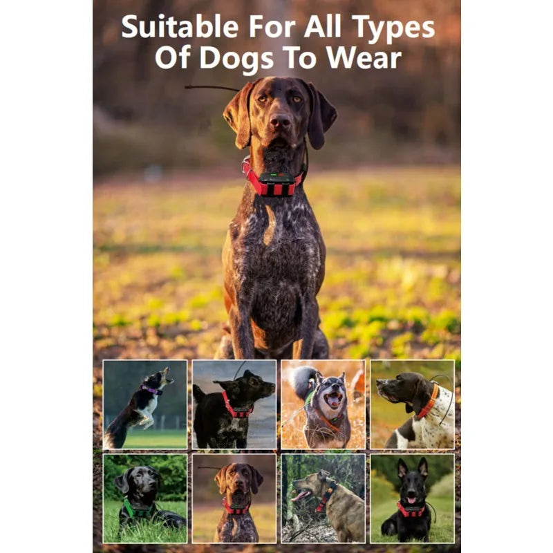 Professional Hunting Dog GPS Tracker with Real-Time Compass & 20-Collar Sync - OEM Available