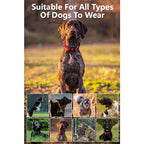 Professional Hunting Dog GPS Tracker with Real-Time Compass & 20-Collar Sync - OEM Available