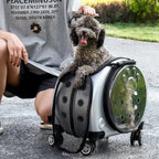 Pet Luggage Transparent Space Capsule Multi-purpose Backpack Cat Bag, Large Capacity Two Portable Small Dogs Outdoor Bag