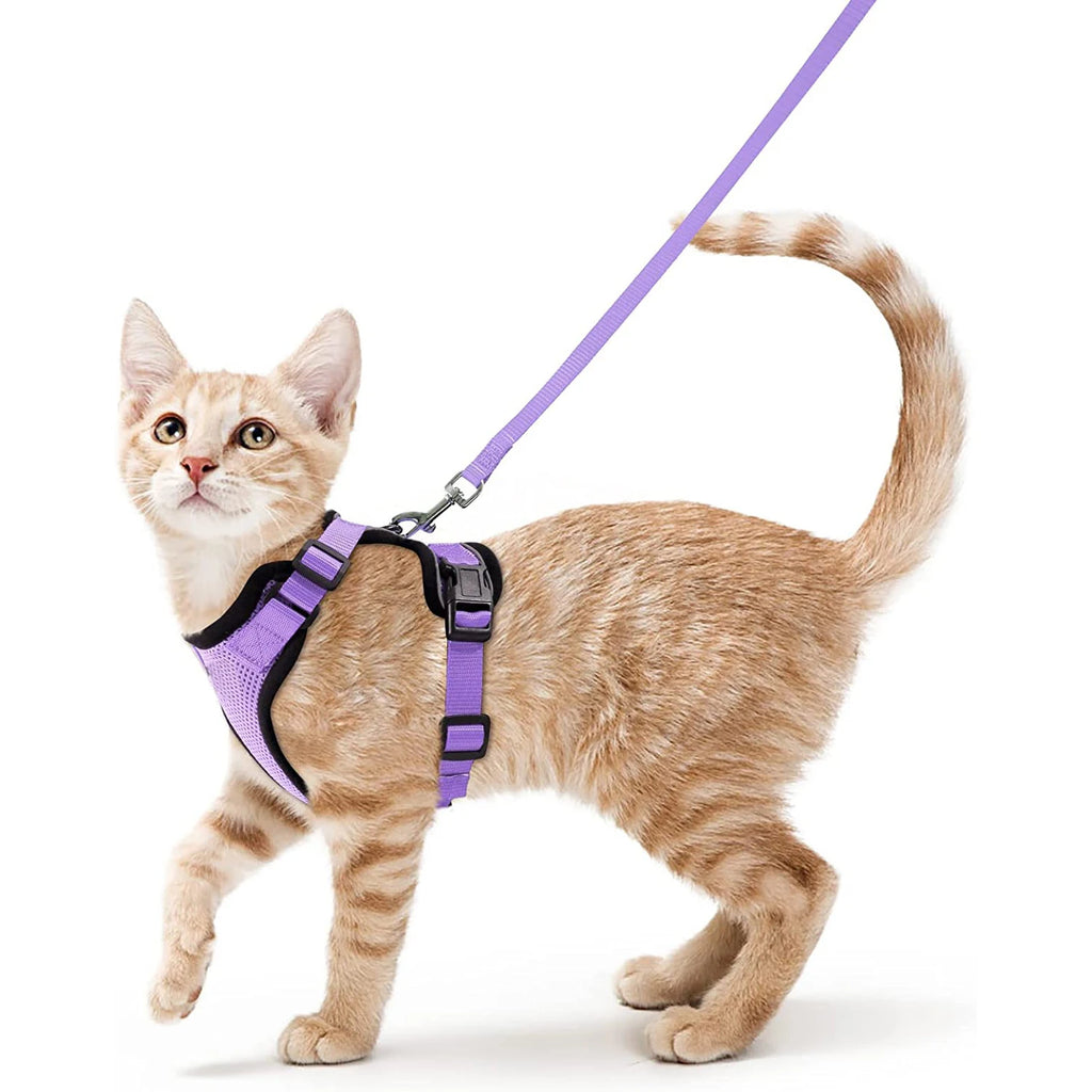 Anti-Escape Kitten Harness & Traction Belt — Lightweight Breathable Soft Vest for Walking Small Cats