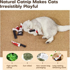 Potaroma 4-Pack Knife-Shaped Catnip Crinkle Toys — Indoor Exercise for All Breeds