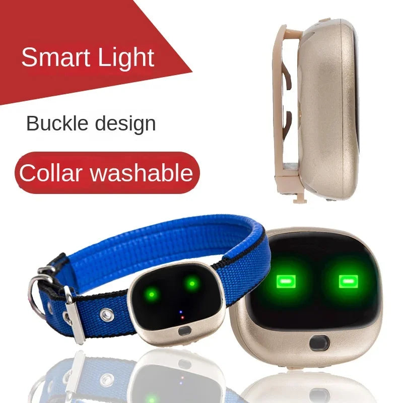 4G LTE GPS Pet Tracker - Waterproof, Real-Time Location (RF-V43)