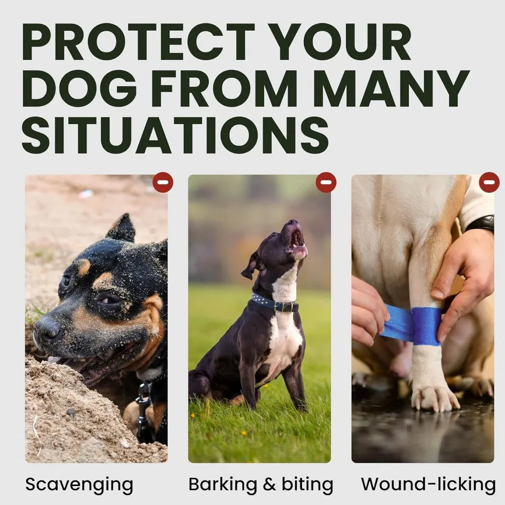 Metal Basket Dog Muzzle (Outdoor Walk, Anti-Bite, Easy Clean)