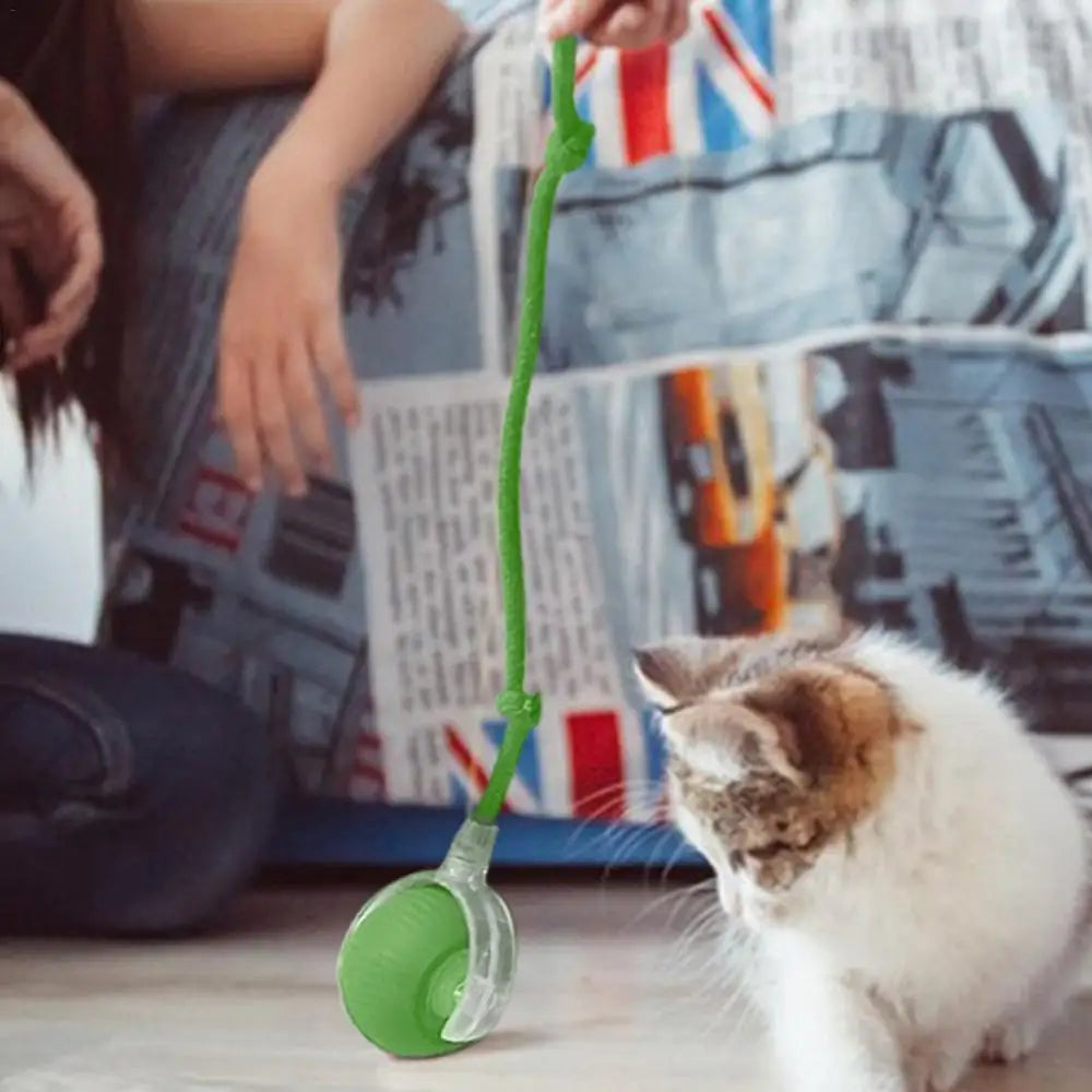 Smart Rolling Ball Toy with Faux Tail