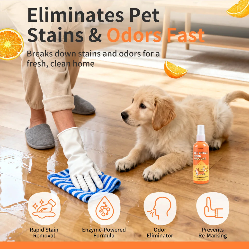 Citrus Enzymatic Pet Deodorizing Spray Urine Stain Odor Neutralizer Deep Cleaning Pet Safe Carpet Rug Upholstery Dogs & Cats