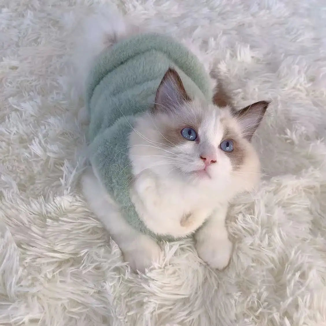 Thickened Autumn & Winter Cat Vest — Warm Anti-Fall Clothes for Kittens & Small Pets