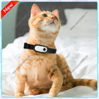 HD 1080P Wireless Pet Collar Camera with 32GB Card for Cats & Dogs - Mini Body Cam Gift