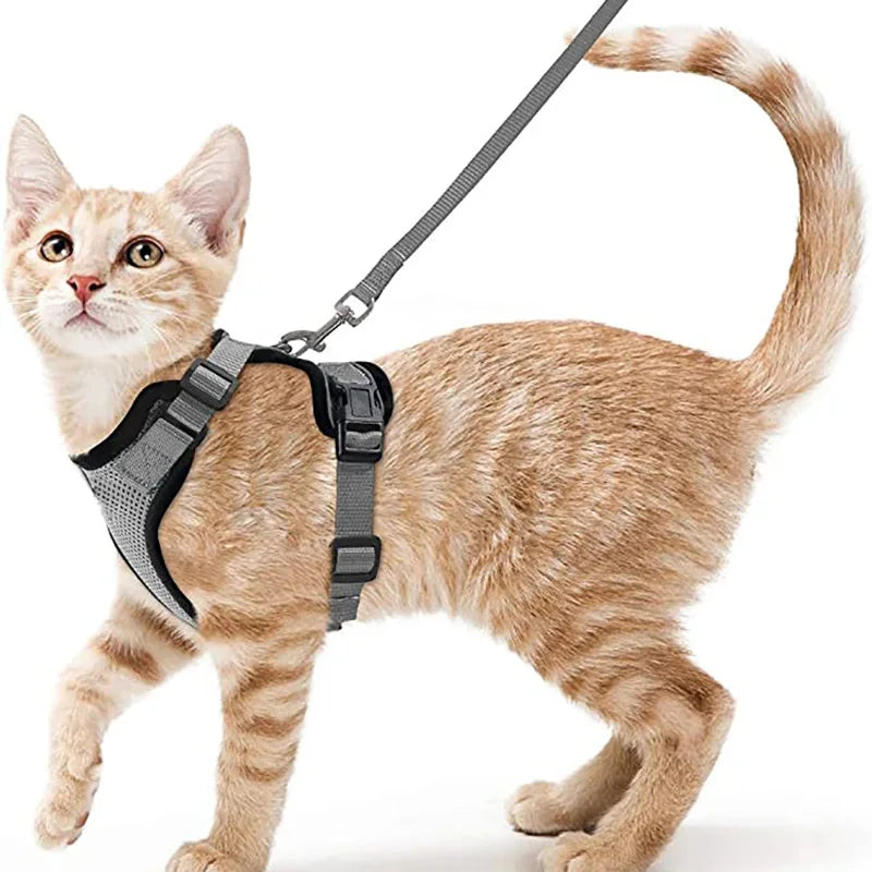Anti-Escape Kitten Harness & Traction Belt — Lightweight Breathable Soft Vest for Walking Small Cats