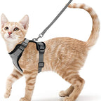 Anti-Escape Kitten Harness & Traction Belt — Lightweight Breathable Soft Vest for Walking Small Cats