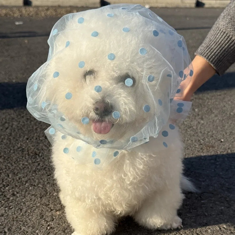 Breathable Mesh Pet Anti-Mosquito Headgear (Adjustable, Love/Wave Pattern)