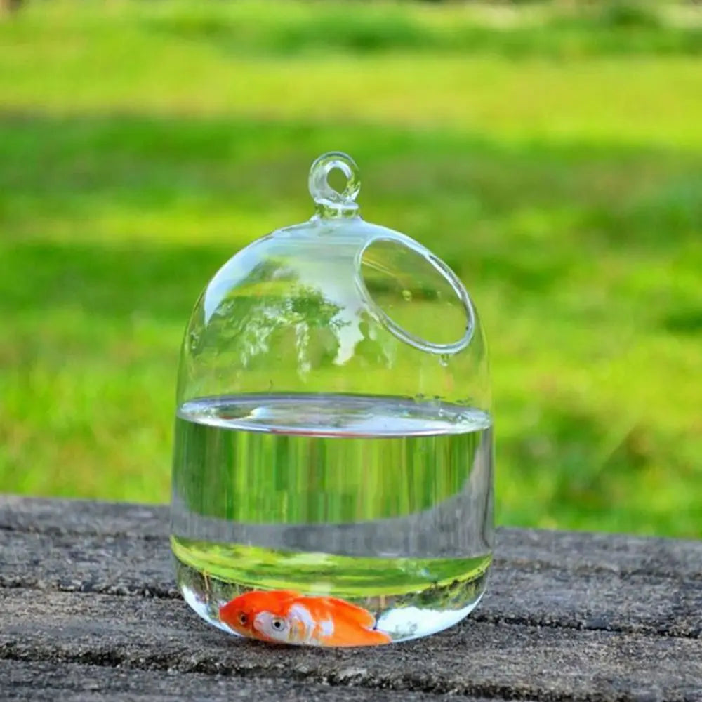 Hanging Glass Fish Bowl Vase (Round & Rectangle, Transparent, Wall-Mounted with Rack Holder)