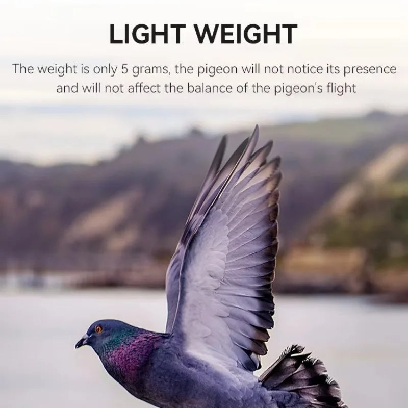 Pigeon GPS Racing Tracker Ring - Real-Time Electronic Positioning for Racing & Training Birds
