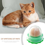 Catnip Licking Candy Nutrition Gel Treats for Kittens