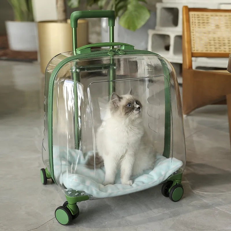 et Carrier Backpack with Wheels Transparent Capsule Design, Lightweight Travel Bag for Cats Small Dogs Puppies
