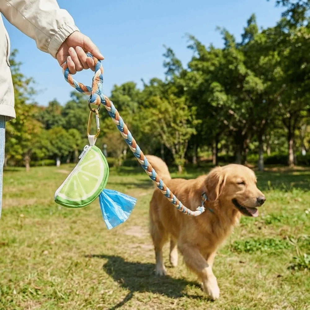 Watermelon Dog Poop Bag Dispenser with Hanging Ring (Portable, Colorful)