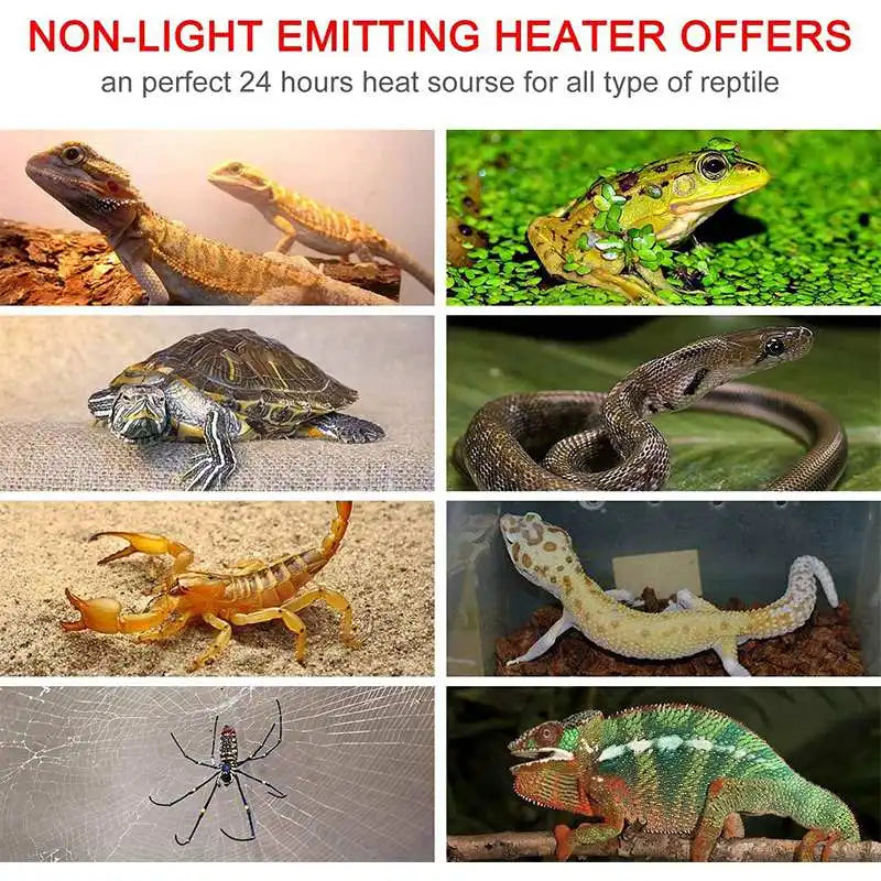 110V 5W-20W Heating Warm Pad Adjustable Temperature Controller Incubator Mat Tools Terrarium Reptiles Heat Mat for Climbing Pet