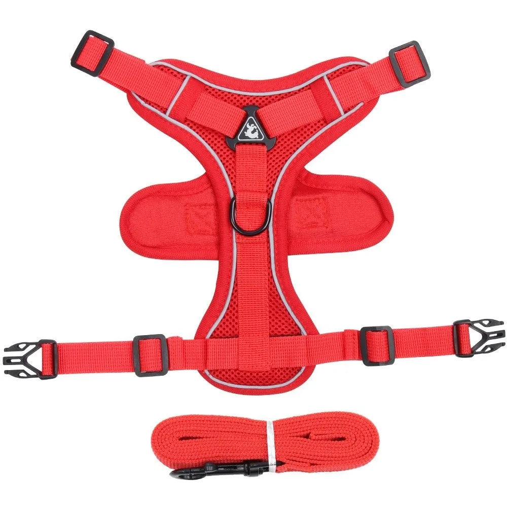 Escape-Proof Reflective Cat Harness & Leash Set