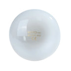UVA+UVB Reptile Lamp Bulb Turtle Basking UV Light Bulbs Heating Lamp Amphibians Lizards Temperature Controller