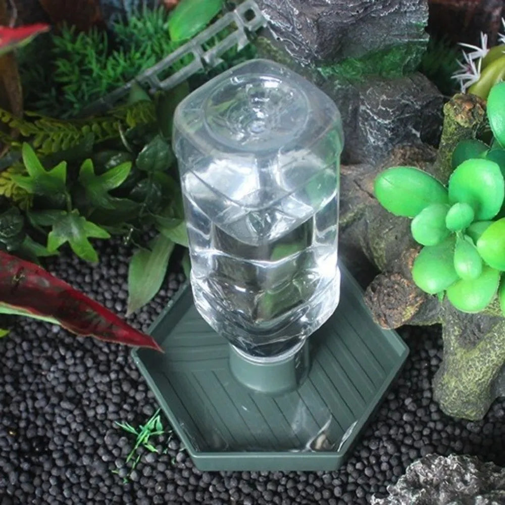 Turtle Food Bowl Anti-slip Reptiles Water Feeder Stable Plastic Automatic Water Dispenser Detachable Turtle Water Bowl Vivarium