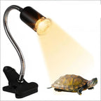 UVA Reptile Light Kit with Clip-On Bulb Lamp Holder Turtle Sun UV Heat Lamp Kit Turtle Light Lizard Lighting EU Plug