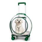 High Quality Pet Suitcase with Shoulder Straps, Portable for Dogs To Go Out Transparent Bag, Space Cabin, Cat Bag Large Capacity